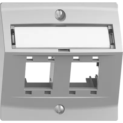 Kit de montage EDIZIOdue, avec capot de sortie oblique, pour 2×RJ45, gris clair 