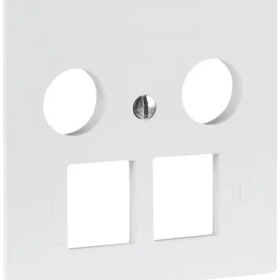 Placca frontale R&M MM 2×RJ45 2×coassiale 60×60mm bianco 