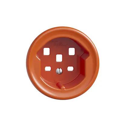 Disque frontal STANDARDdue T25, orange 