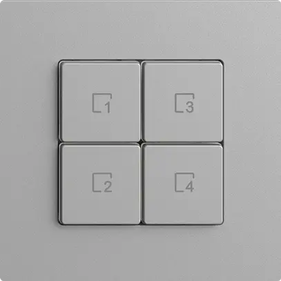 Poussoir scène 4 scènes/4T Edue Wiser silver 