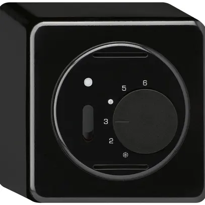 Thermostat d'ambiance AP BASICO noir avec interrupteur 