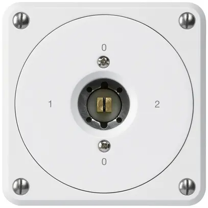 Interruttore a chiave quadrata INC robusto senza coperchio 2/1P bianco 