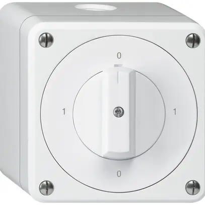 Interruttore rotativo AP robusto IP55 schema 0/2P bianco 