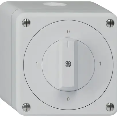 Interrupteur rotatif AP robusto IP55 schéma 0/1P gris 