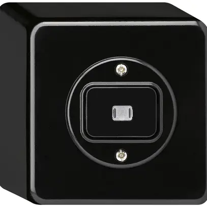 Pulsante luminoso AP basico AR/2L nero 