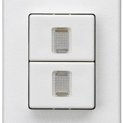 Poussoir double INC Hager FLF 10A/250V 0/1L illuminé blanc 