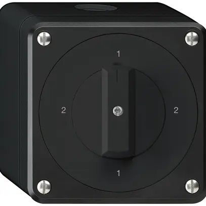 Interruttore rotativo AP robusto IP55 schema 3/1P nero 