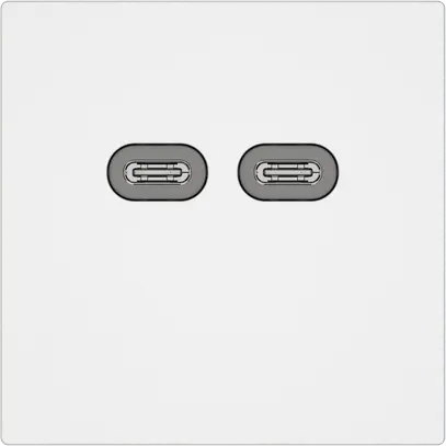 Presa di ricarica USB EDIZIO.liv SNAPFIX® 230VAC 18W 2×USB C bi 