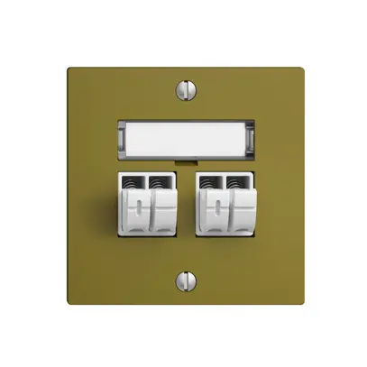 Presa audio Push Type EDIZIOdue F, 2×, kit di dicitura, olive 