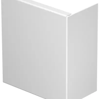 Plaque de fermeture Bettermann pour canal d'installation WDK blanc pur 80×170mm 