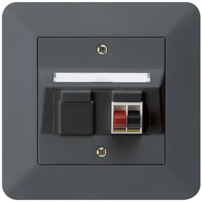 UP-Audiodose kallysto.trend 1×anthrazit Klemmanschluss für 1 Lautsprecher 