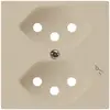 Plaque frontale kallysto 2×T13/1 60×60mm beige pour prise 2×T13/1 