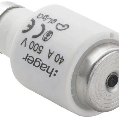 Fusibile D DIII 40A 500V gG con indicatore 