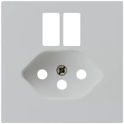 Placca frontale kallysto per presa 2×USB & T13 grigio chiaro 