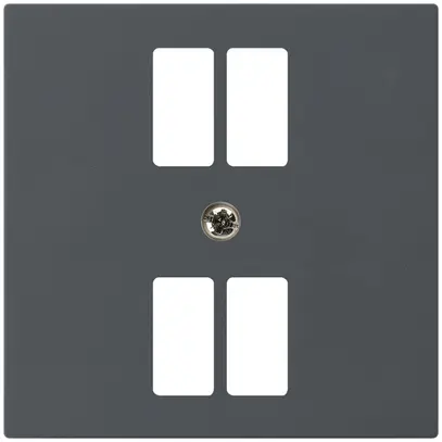 Placca frontale kallysto per presa 4×USB antracite 