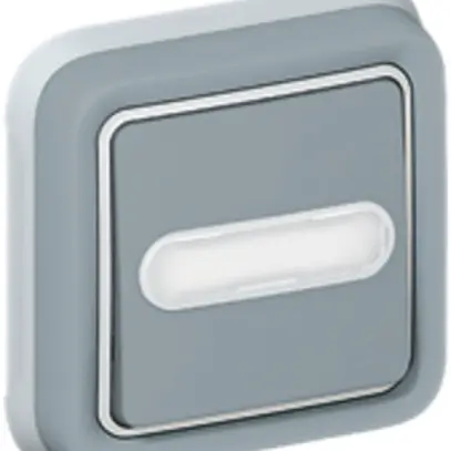 Poussoir de sonnerie lum. ENC PLEXO gris NO+NF 