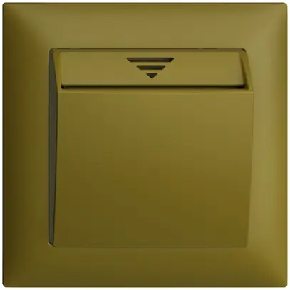 KNX Hotelcard ENC 1P EDIZIOdue olive 
