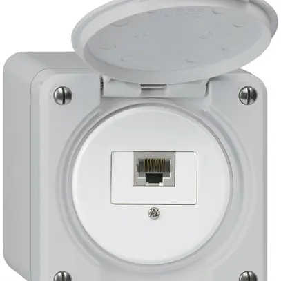 Scatola di raccordo AP robusto IP55 grigio 1×RJ45/s 
