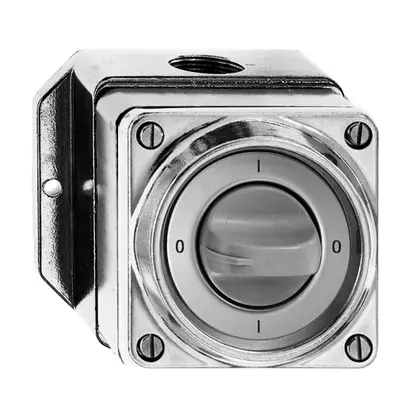 Interrupteur rotatif AP mouillé 0/1L Al poli à billes, a. manette 