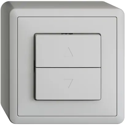 Pulsante per tapparella AP EDIZIOdue grigio chiaro 1 canale 