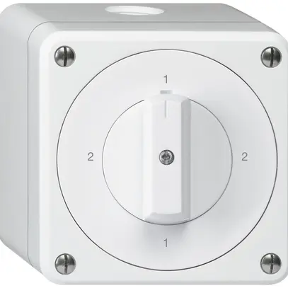 Interruttore rotativo AP robusto IP55 schema 3/1P bianco 