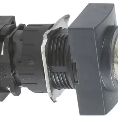 Interruttore a chiave INS Schneider Electric 1Ch 1R 2 fisso 