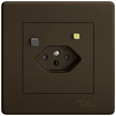 Presa FI INC EDIZIO.liv  1×T13 con shutter ma 