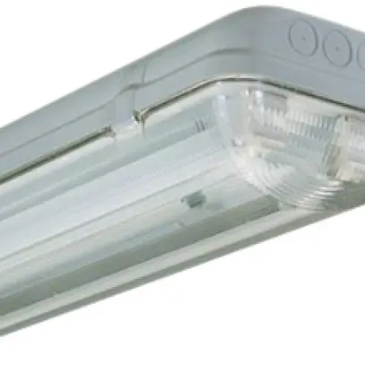 Luminaire de secours IP65 2×18W PE 1h 