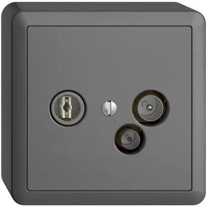 Prise de données AP TV-R DD11 5…65MHz EDIZIOdue gris foncé 