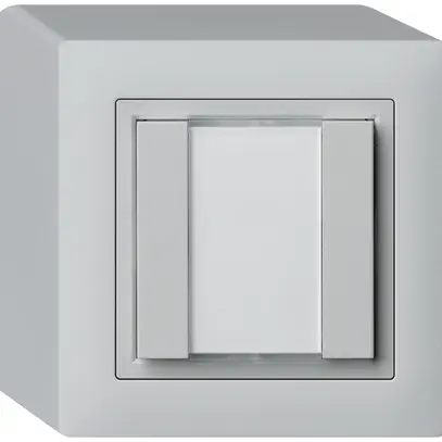 Pulsante universale AP 2×KAL senza LED grigio chiaro 