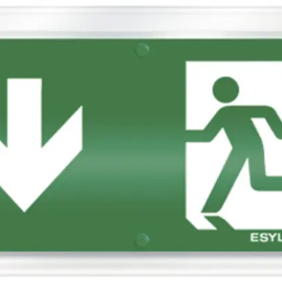 Plaque avec pictogramme ESYLUX SLC, flèche vers le bas 