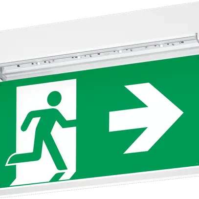 Lampe pour voie de secours à encastrer VOYAGER STYLE 150 MS E3T SM-S WH 