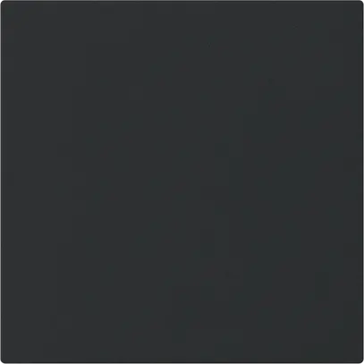 UP-Blindabdeckung kallysto A schwarz ohne Schraube 