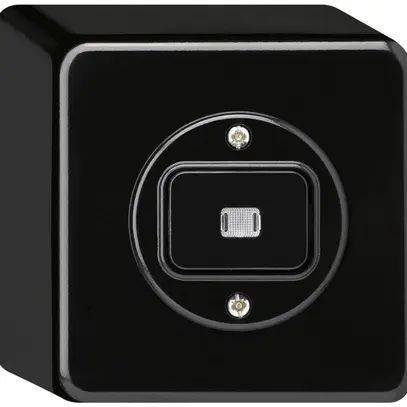 AP-Leuchtdrucktaster basico L-AR/1L schwarz 