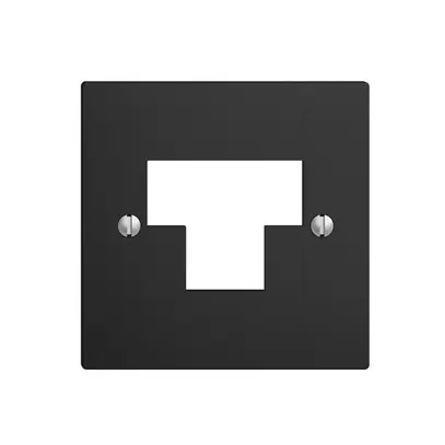 Frontplatte 2×RJ45 ITplus EDIZIOdue schwarz 