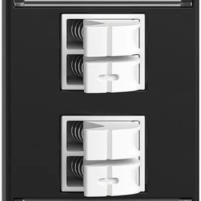 Presa audio INC 2×Feller FLF, c.kit dicitura&morsetto Push Type, ne 