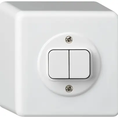 Pulsante AP basico 2×AR/1L bianco 