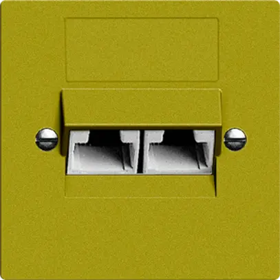 Prise ENC 2×RJ45/u 4P sép.EDIZIOdue olive ITplus 