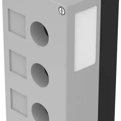 Aufbaugehäuse EAO 45, 3 Einbaulöcher Ø22.3mm, m.Schildträger Einführung M20 grau 