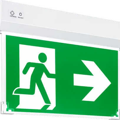 LED-Anbau-Fluchtwegeleuchte Nina 30m Selbsttest E3 LiFePO4 