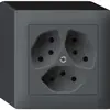 Prise AP kallysto 3×T13 anthracite avec sécurité enfants 
