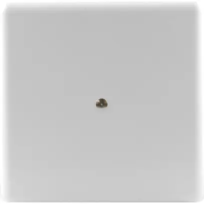 Abdeckplatte Ammer Gr.I weiss 