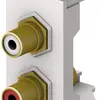 RCA-Modul Cecoflex für AV-Montagesystem, 2×RCA f/f, weiss 