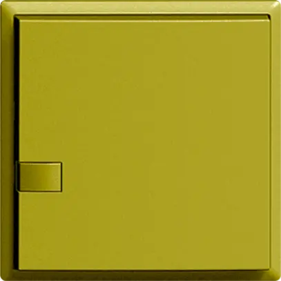 Tasto ZEP 1c/1t ON-OFF stazione princ. EDIZIOdue olive 