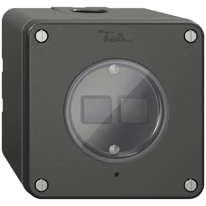 Station secondaire AP 2K/2T pour interrupteur NEVO Wiser noir 