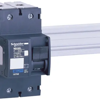 Disjoncteur Schneider Electric NG125L 2P 10A C 
