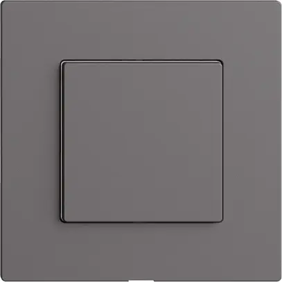 Interrupteur 1K/1T Edue Wiser gris foncé 