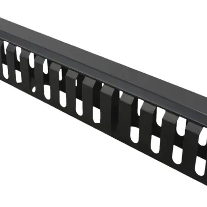 Rangier-/Durchführungspanel 19" VALUE, Lamellenkanal 40×60mm 1HE St schwarz 