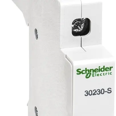 Élément d'alimentation Schneider Electric 100A L 
