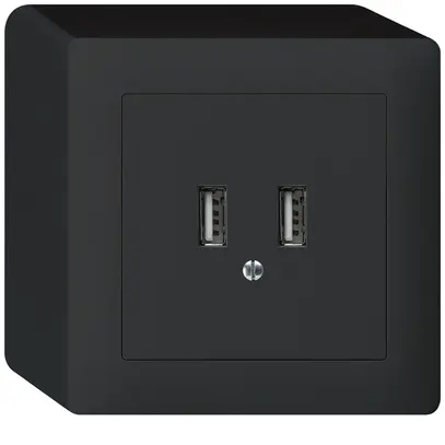 AP-USB-Ladesteckdose Hager kallysto 240V 2400mA schwarz 